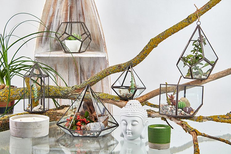 Glass Terrarium - Cube on Corner – product image 5 of 5