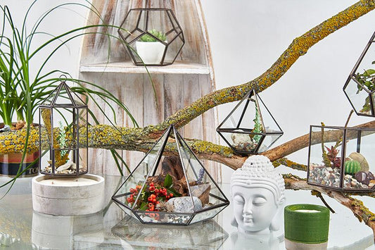 Glass Terrarium - Small Diamond – product image 2 of 6