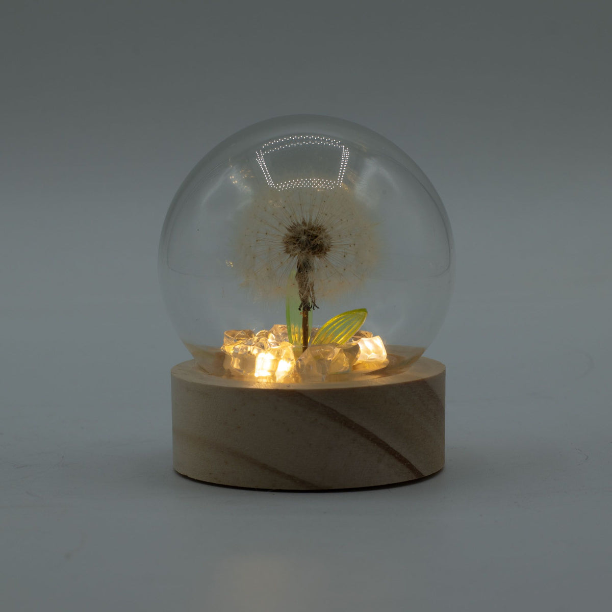 Floral Glow Garden Dome - 1 Dandelion - LED Battery – product image 5 of 5