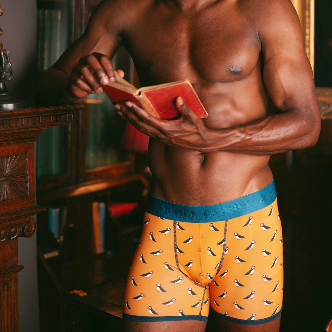Bamboo Boxers - Puffins – product image 2 of 6