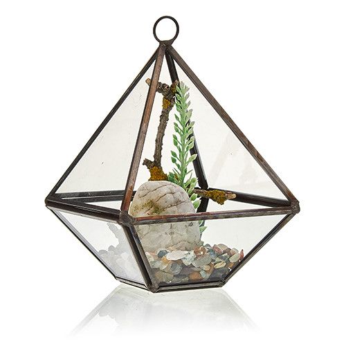 Glass Terrarium - Small Diamond – product image 4 of 6