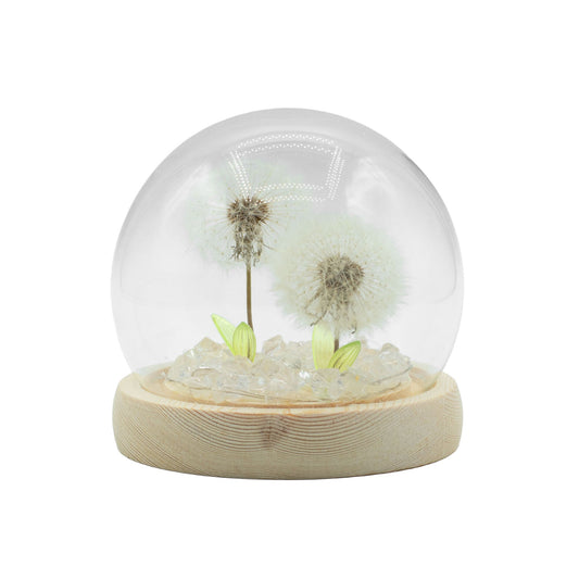 Floral Glow Garden Dome - 2 Dandelions - LED USB – product image 1 of 6