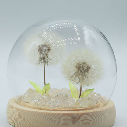 Floral Glow Garden Dome - 2 Dandelions - LED USB – product image 2 of 6