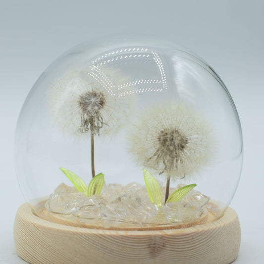 Floral Glow Garden Dome - 2 Dandelions - LED USB – product image 2 of 6
