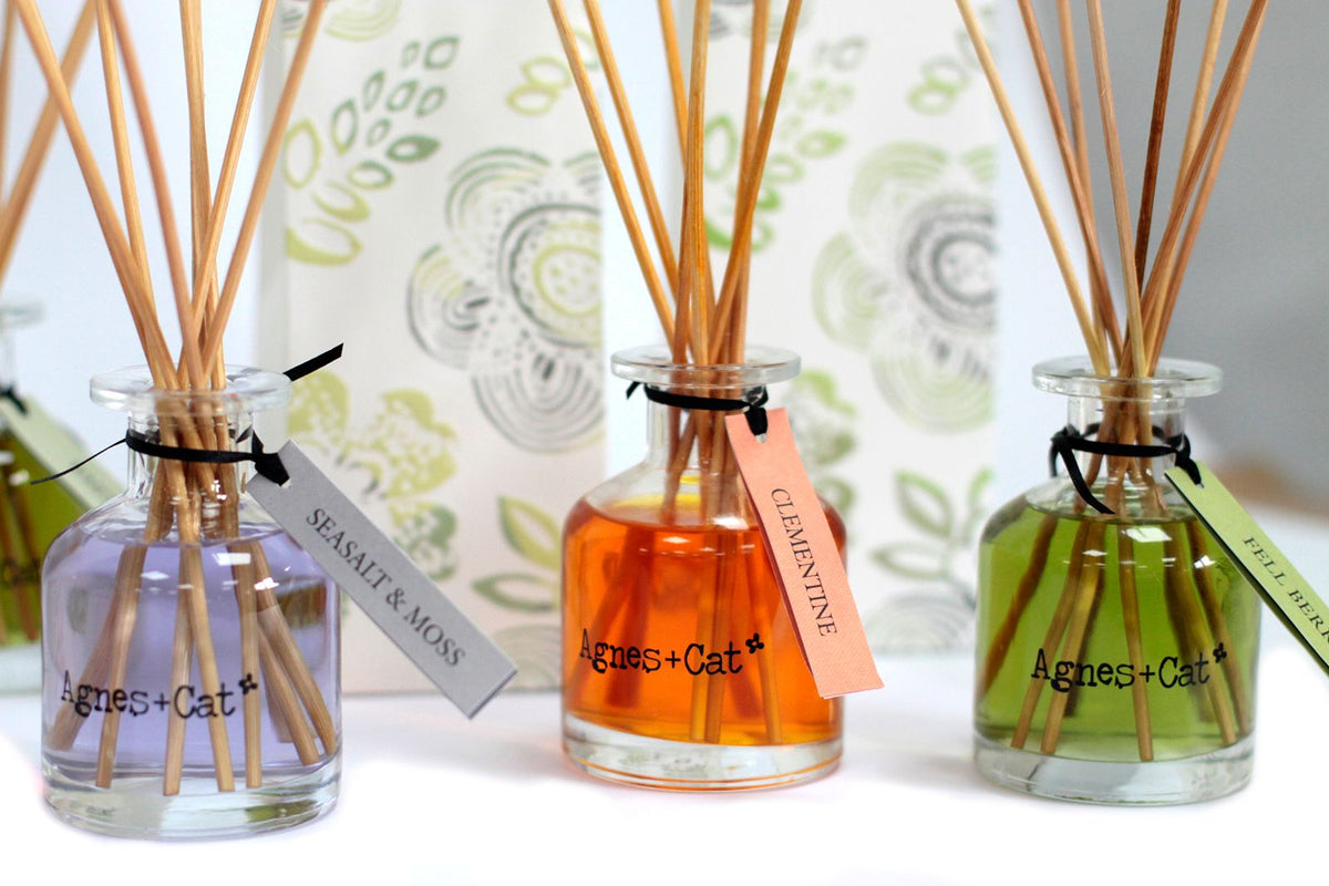 140ml Reed Diffuser - Clementine – product image 4 of 8