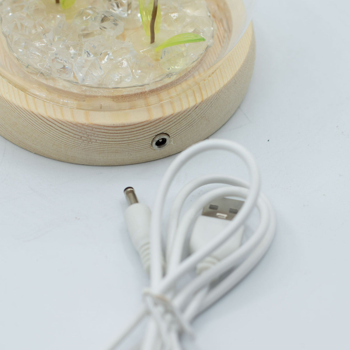Floral Glow Garden Dome - 2 Dandelions - LED USB – product image 3 of 6