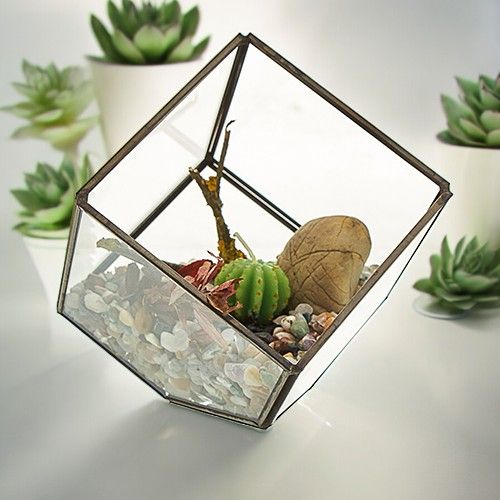 Glass Terrarium - Cube on Corner – product image 1 of 5
