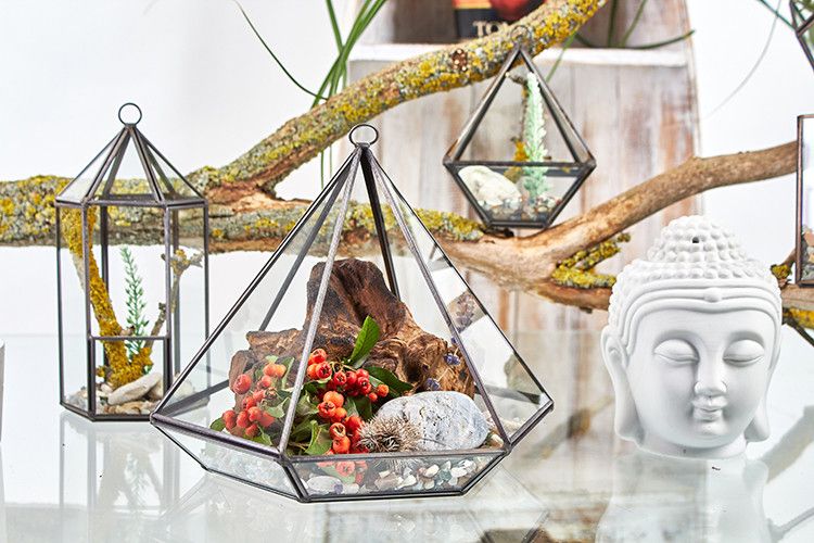 Glass Terrarium - Large Diamond – product image 5 of 5