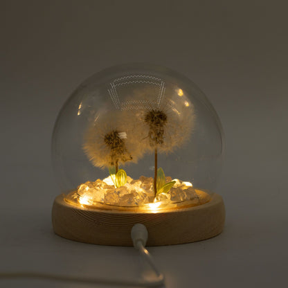 Floral Glow Garden Dome - 2 Dandelions - LED USB – product image 4 of 6