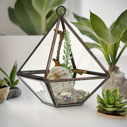 Glass Terrarium - Small Diamond – product image 6 of 6