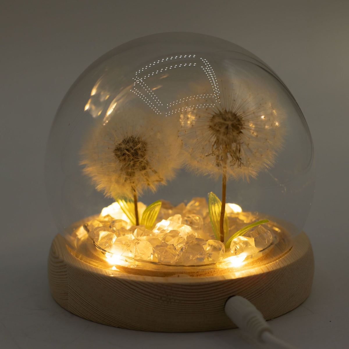 Floral Glow Garden Dome - 2 Dandelions - LED USB – product image 5 of 6