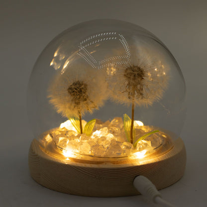 Floral Glow Garden Dome - 2 Dandelions - LED USB – product image 5 of 6