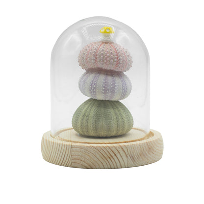 Floral Glow Garden Dome - 3 Sea Urchins - LED USB – product image 1 of 7