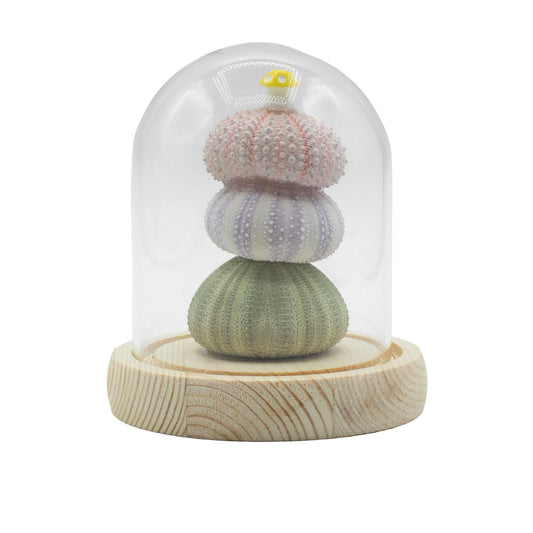 Floral Glow Garden Dome - 3 Sea Urchins - LED USB – product image 1 of 7