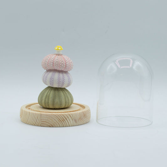 Floral Glow Garden Dome - 3 Sea Urchins - LED USB – product image 2 of 7