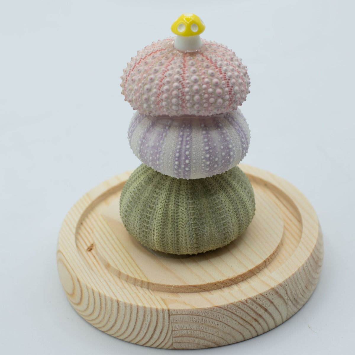 Floral Glow Garden Dome - 3 Sea Urchins - LED USB – product image 3 of 7