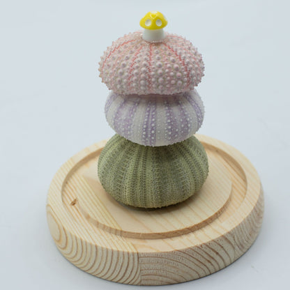 Floral Glow Garden Dome - 3 Sea Urchins - LED USB – product image 3 of 7