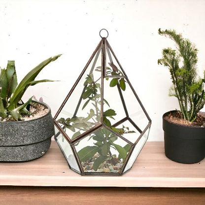Glass Terrarium - Large Pentagon – product image 5 of 5