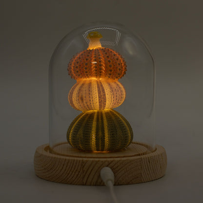 Floral Glow Garden Dome - 3 Sea Urchins - LED USB – product image 5 of 7