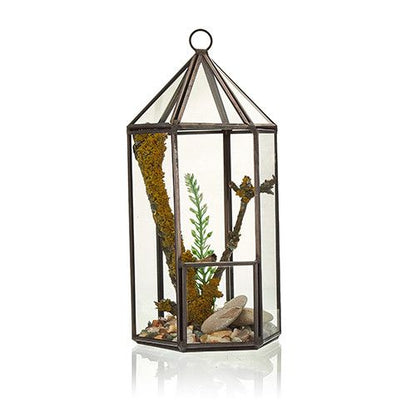 Glass Terrarium - Lantern Shape – product image 3 of 5