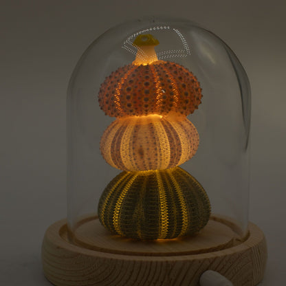 Floral Glow Garden Dome - 3 Sea Urchins - LED USB – product image 6 of 7