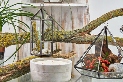 Glass Terrarium - Lantern Shape – product image 2 of 5