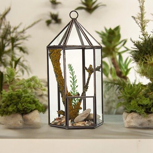 Glass Terrarium - Lantern Shape – product image 1 of 5