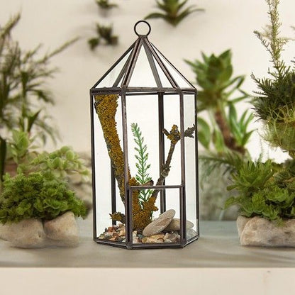 Glass Terrarium - Lantern Shape – product image 1 of 5