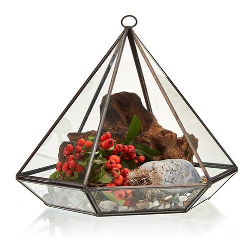 Glass Terrarium - Large Diamond – product image 2 of 5
