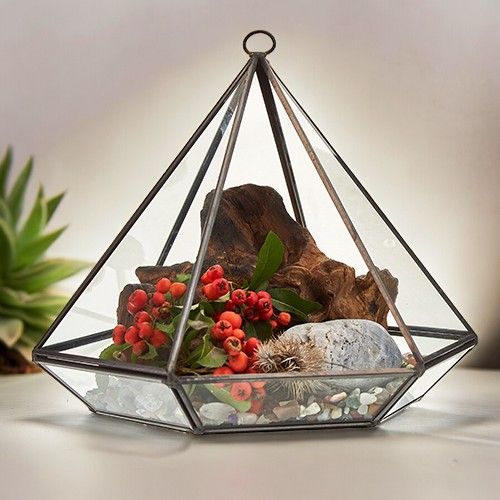 Glass Terrarium - Large Diamond – product image 4 of 5