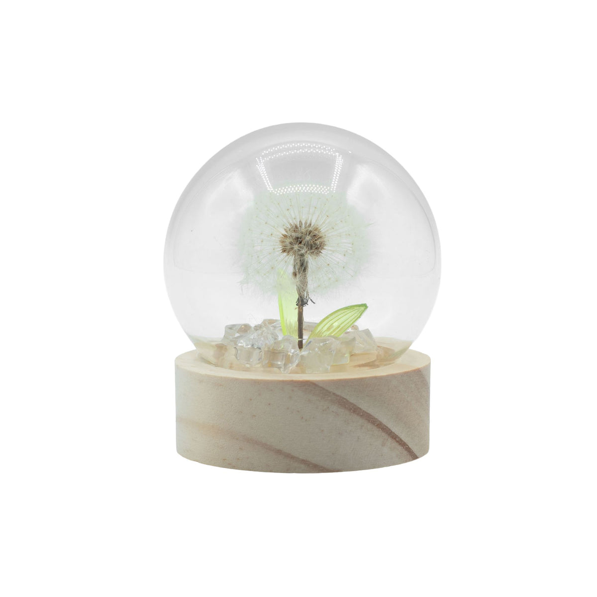 Floral Glow Garden Dome - 1 Dandelion - LED Battery – product image 3 of 5