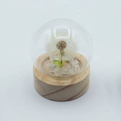 Floral Glow Garden Dome - 1 Dandelion - LED Battery – product image 4 of 5