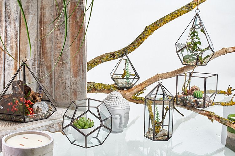 Glass Terrarium - Cube on Corner – product image 4 of 5
