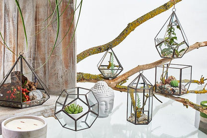 Glass Terrarium - Cube on Corner – product image 4 of 5