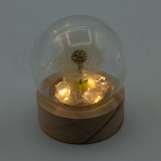 Floral Glow Garden Dome - 1 Dandelion - LED Battery – product image 1 of 5