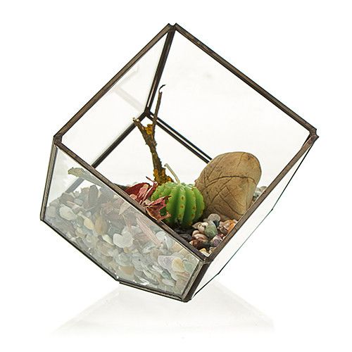 Glass Terrarium - Cube on Corner – product image 2 of 5